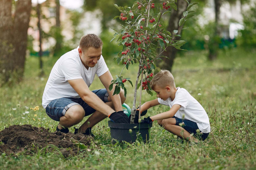 arbor day web design digital marketing planting edreamz