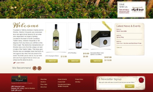 Email Sign-up in Footer